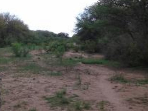 Imagen 5 de 8 de Campo De 431 Ha En Concaran.a 1.500 Metros Del Pueblo.