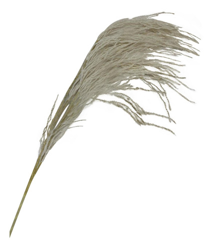 Rama Decorativa Pampas Plumas Blancas De 134 Cm