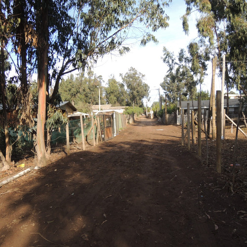 Terreno De 7.428 Mt A 200 Mt De Bajada Playa Caucau, Horcon