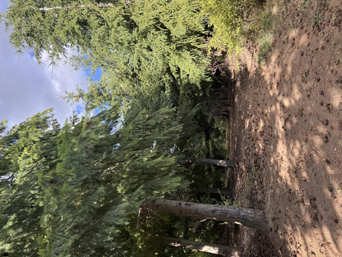 Terreno En Trevelin