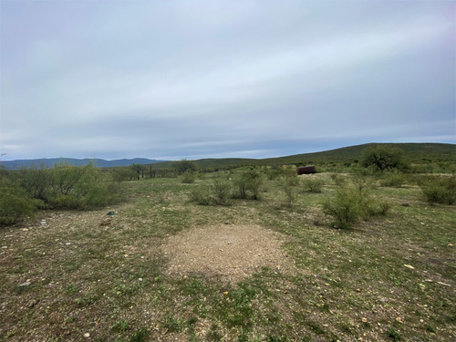 Rancho En Venta En Villa Hidalgo Durango