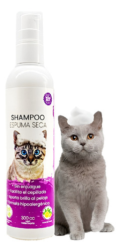 Shampoo Gatos Shampoo Seco Shampoo Espuma Seca Baño Gatos