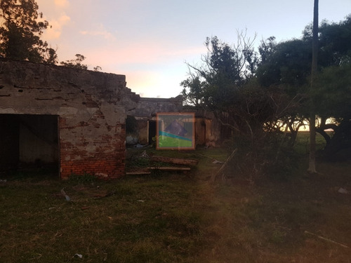 Imagen 2 de 13 de Chacra Campo Rincón De José Ignacio 72 Has