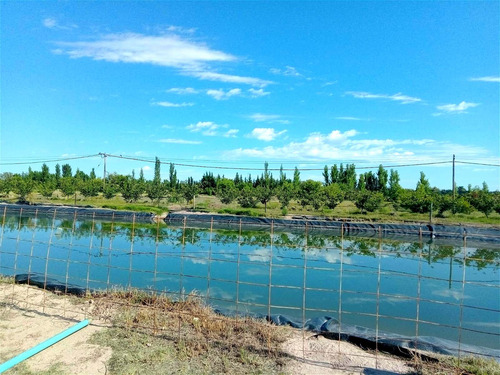 Finca Con Dos Propiedades Y Produccion En General Alvear