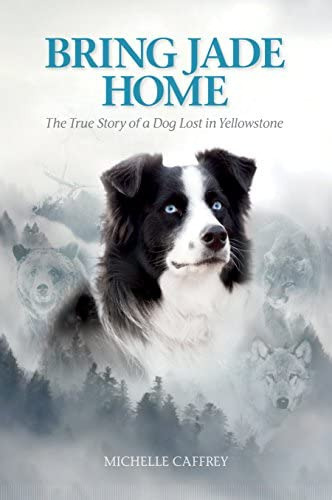 Bring Jade Home: The True Story Of A Dog Lost In Yellowstone And The People Who Searched For Her, De Michelle Caffrey. Editorial Farcountry Press, Tapa Blanda En Inglés