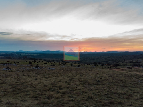 Imagen 9 de 27 de Campo 83hás En Mataojo Pueblo Edén