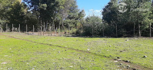 Parcela En Venta En Sector Las Ñipas En Santa Bárbara