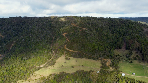 Imagen 4 de 22 de Campo De 42ha Estaquilla - Los Muermos