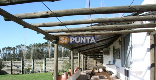 Imagen 8 de 11 de Chacra En Venta - Camino Cerro Eguzquiza