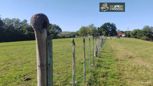 Imagem 17 de 30 de Fazenda A Venda No Bairro Centro Em Canguçu - Rs. - 2495-1