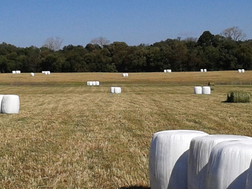 Polywrap Silo-fardo 250mm Silo Fardo Para Silagem De Pré-sec