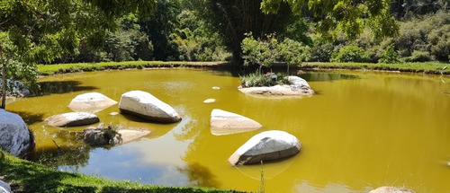 Imagem 13 de 14 de Lindo Sítio Em Atibaia