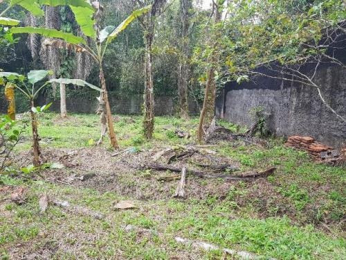 Chácara No Litoral Com 3 Quartos Em Itanhaém 4728-pc