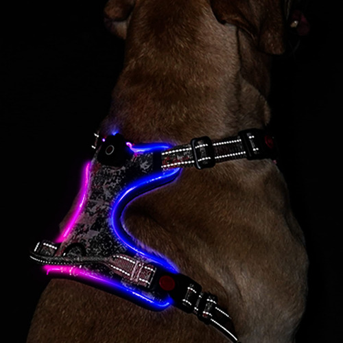 Arns Para Perro Con Luz Led: Chaleco Reflectante Ajustable C