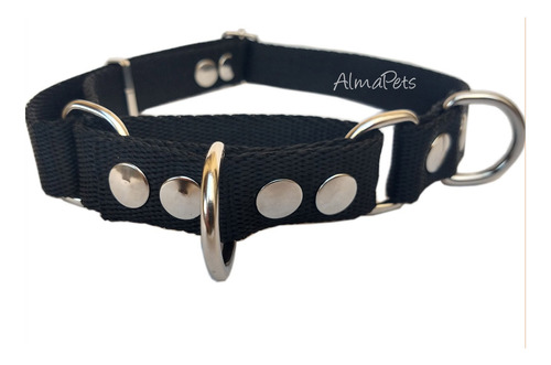 Collar Martingale Para Perros Regulable Reforzado Seguro