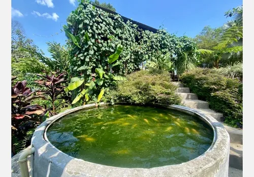 Casa Campestre En Venta En Vereda El Zancudo. Cod V12233