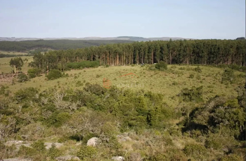 Venta De Chacra Con 5 Hás En Maldonado Zona De Sierras