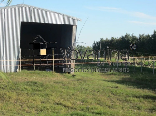 Campo 7 Has. Con Criadero De Pollos A Estrenar Ref. Y 255