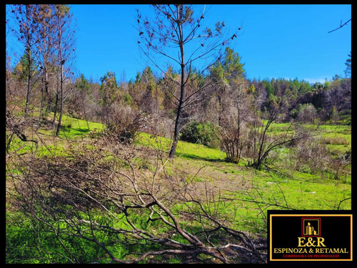 Terreno De 4 Hectareas , Nacimiento  (14673)