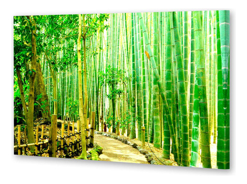Cuadro 30x45cm Bosque Bambu Japón Arboles Naturaleza