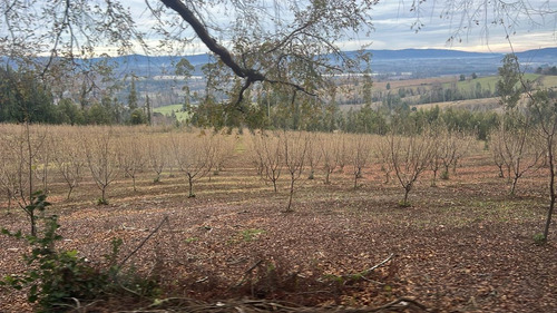 Agrícola En Venta En Gorbea