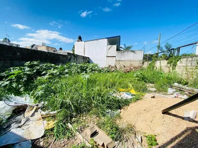 Terreno en renta