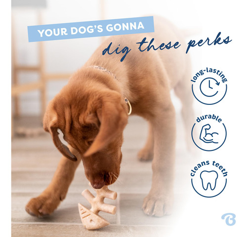 Juguete Masticable Para Perros Benebone Puppy Fishbone, Más