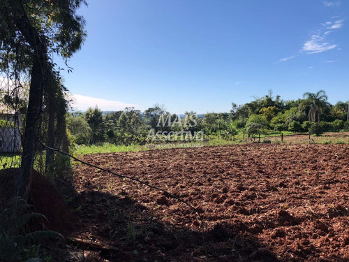 Imagem 5 de 8 de Chácara Para Venda Em Novo Hamburgo, Lomba Grande - 181821-cw_2-1344879