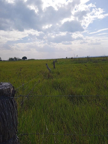 Imagen 13 de 15 de Se Vende Finca Via Al Sur Ve02-1303vs-dfer