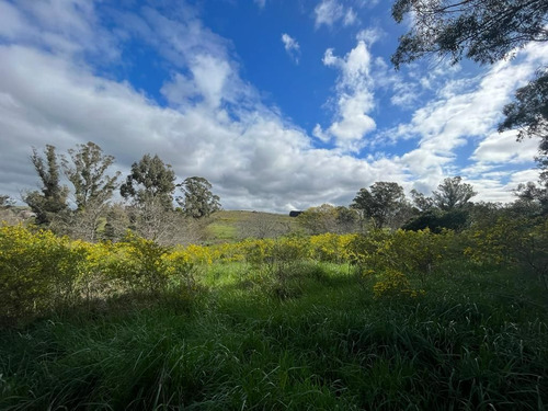 Gran Terreno En Venta De 20.839 M2 En Tandil