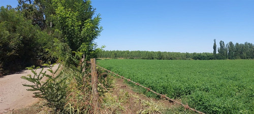 18 Hec Oportunidad Se Vende Terreno Agrícola Retiro Talca