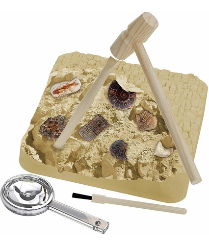 Mega Kit Fossil Dig - Dig Up 15 Auténticos Fósiles (huesos D