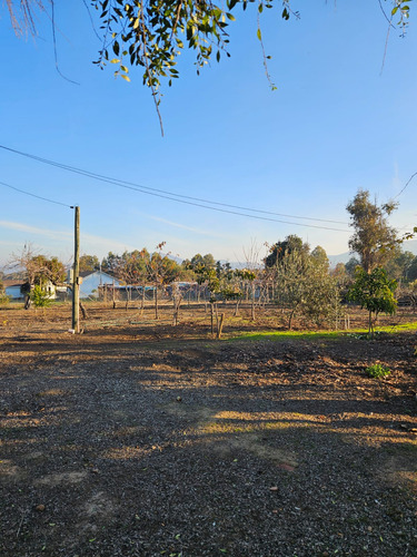 Parcela Con Casa, 5000 Mts2, San Javier