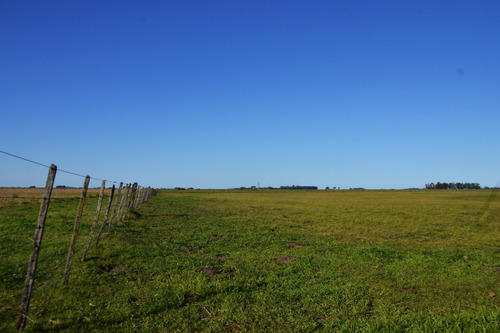 Imagen 6 de 8 de Vendo Campo De 106 Ha En Gral. Alvear
