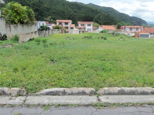 Imagen 3 de 14 de Terreno En Venta En Maracay