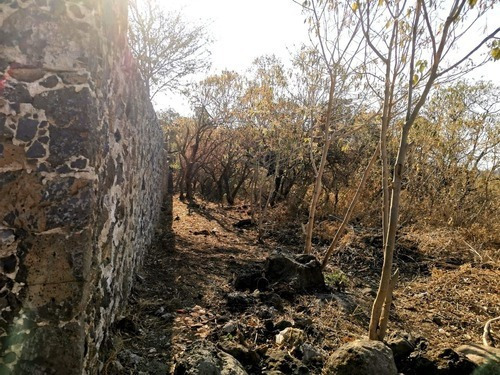 Imagen 4 de 6 de 2 Lotes Escriturados En Tepoztlán Morelos