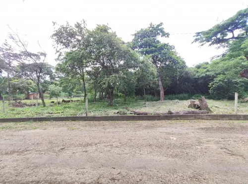 Lote En Venta En Bocono. Cod V24692