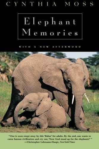 Memorias De Elefante: Trece Años En La Vida De Una Familia D