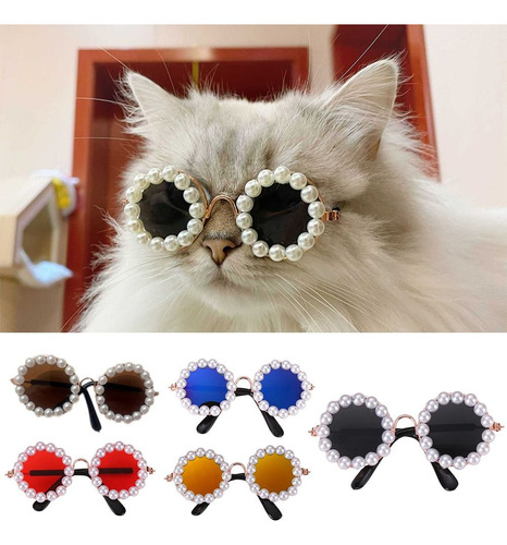 Gafas De Sol Para Gatos, Fotos, Accesorios, Gafas Para Masco