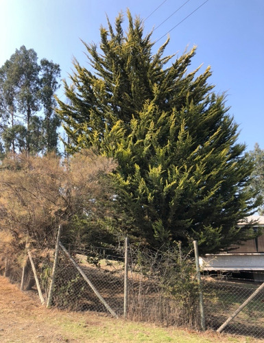 Venta Parcela 1 Hect.con Casa Codigua Melipilla $110.000.000