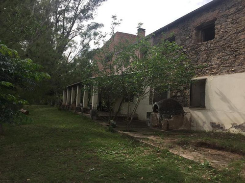 Imagen 8 de 13 de Campo - San Javier