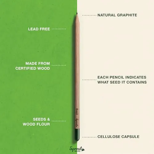 Lápices Plantables Sproutworld | Caja De Jardín | Madera | P
