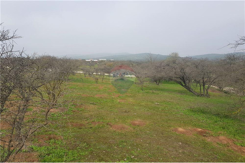Sector Los Laureles - Terreno En Limache 5000 Mt