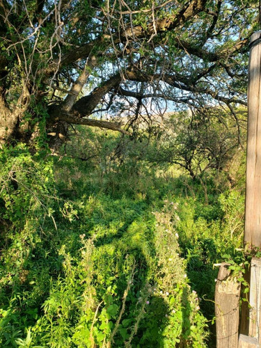 Imagen 8 de 16 de Hermosa Fracción De Bosque En La Zona Mas Alta!!!