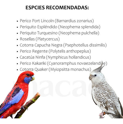 Alimento Macao P/ Ninfa,loro, Papilla 1k+croqueta 1k+jeringa