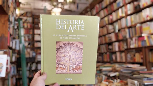 Historia Del Arte. La Aldea Edad Media Europea. Folio