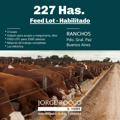 Campo En Venta En Ranchos. 227 Has. Mixto Feed Lot