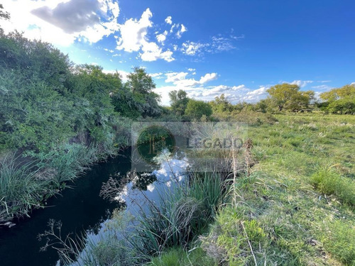 Campo En Venta De 53 Has. Con Vivienda Y Arroyo, Prox Minas
