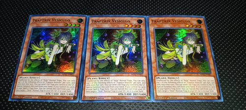 Set 3 Cartas Yugioh Traptrix Vesiculo 