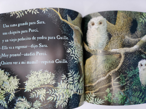 Las Lechucitas, De Martin Waddell Y Patricia Benson. Loqueleo Editorial Santillana, Tapa Blanda, Edición Tercera Reimpresión En Español, 2019